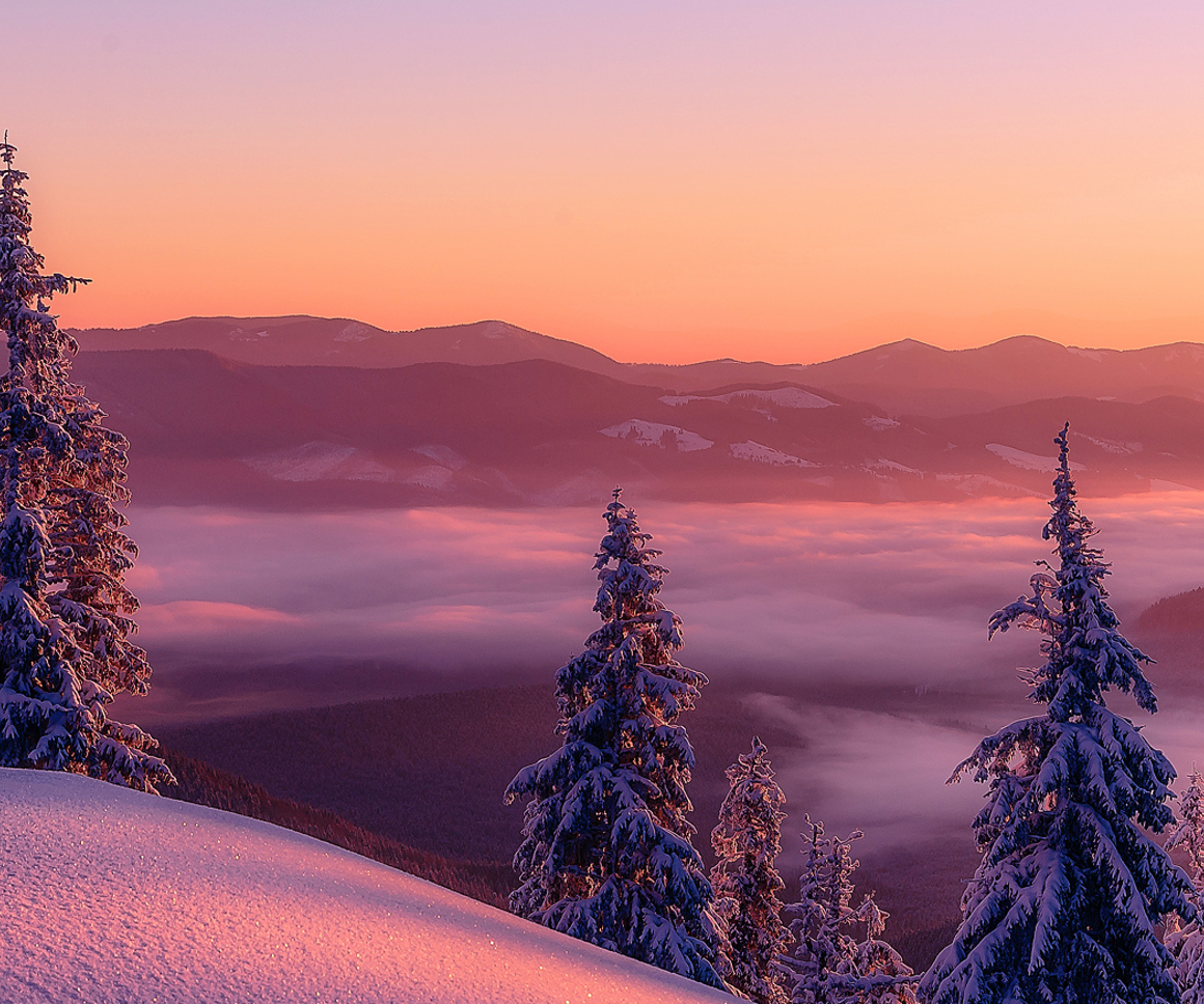 Snowy mountain range with trees
