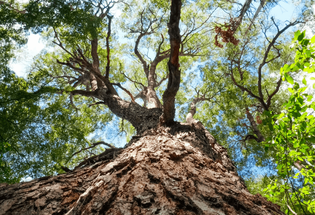 PRA regulatory priorities for general insurers 