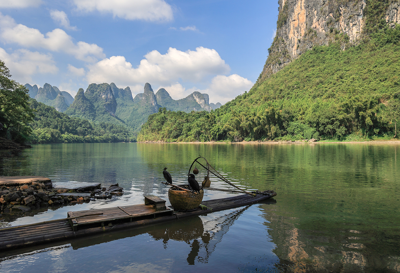 Birds on a makeshift pontoon with mountains in background